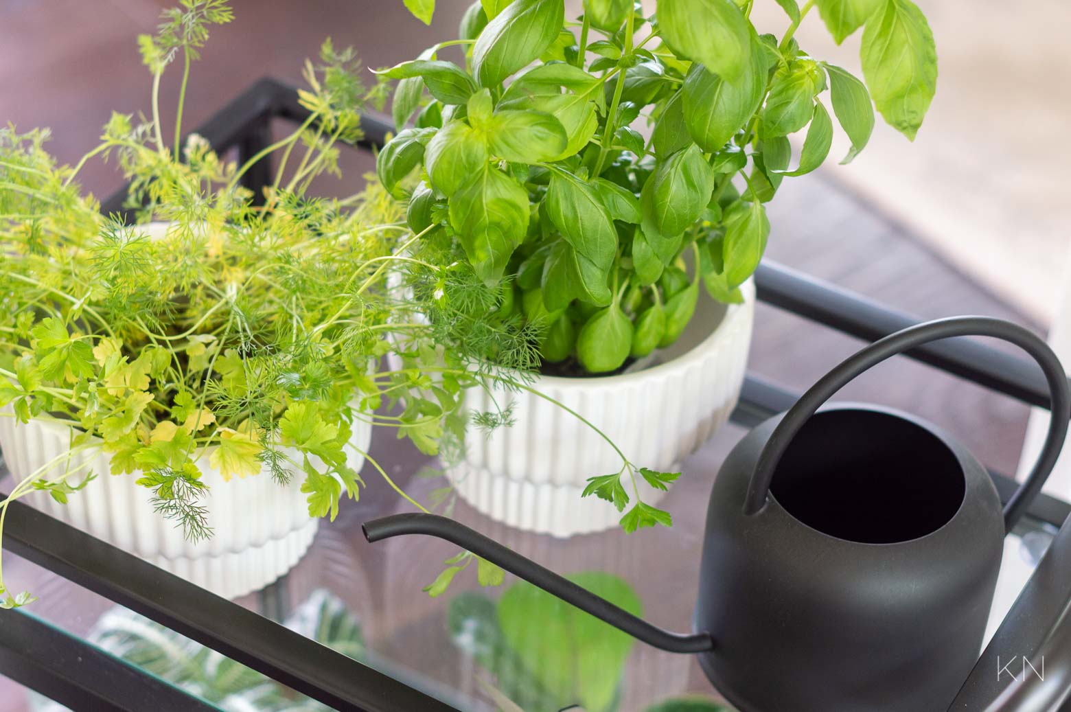 Bar Cart Herb Garden (& Tons of Other Ways to Use Bar Carts Around Your Home)