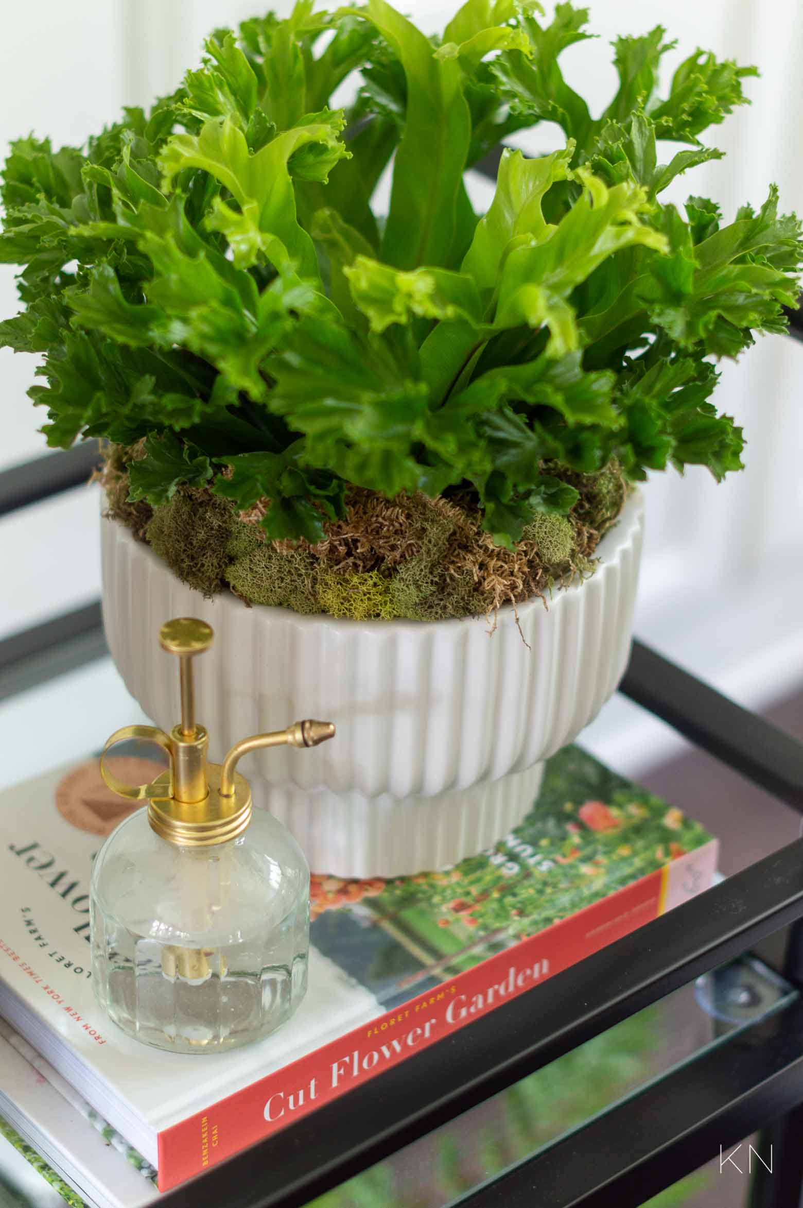 Using a Bar Cart as a Plant Cart