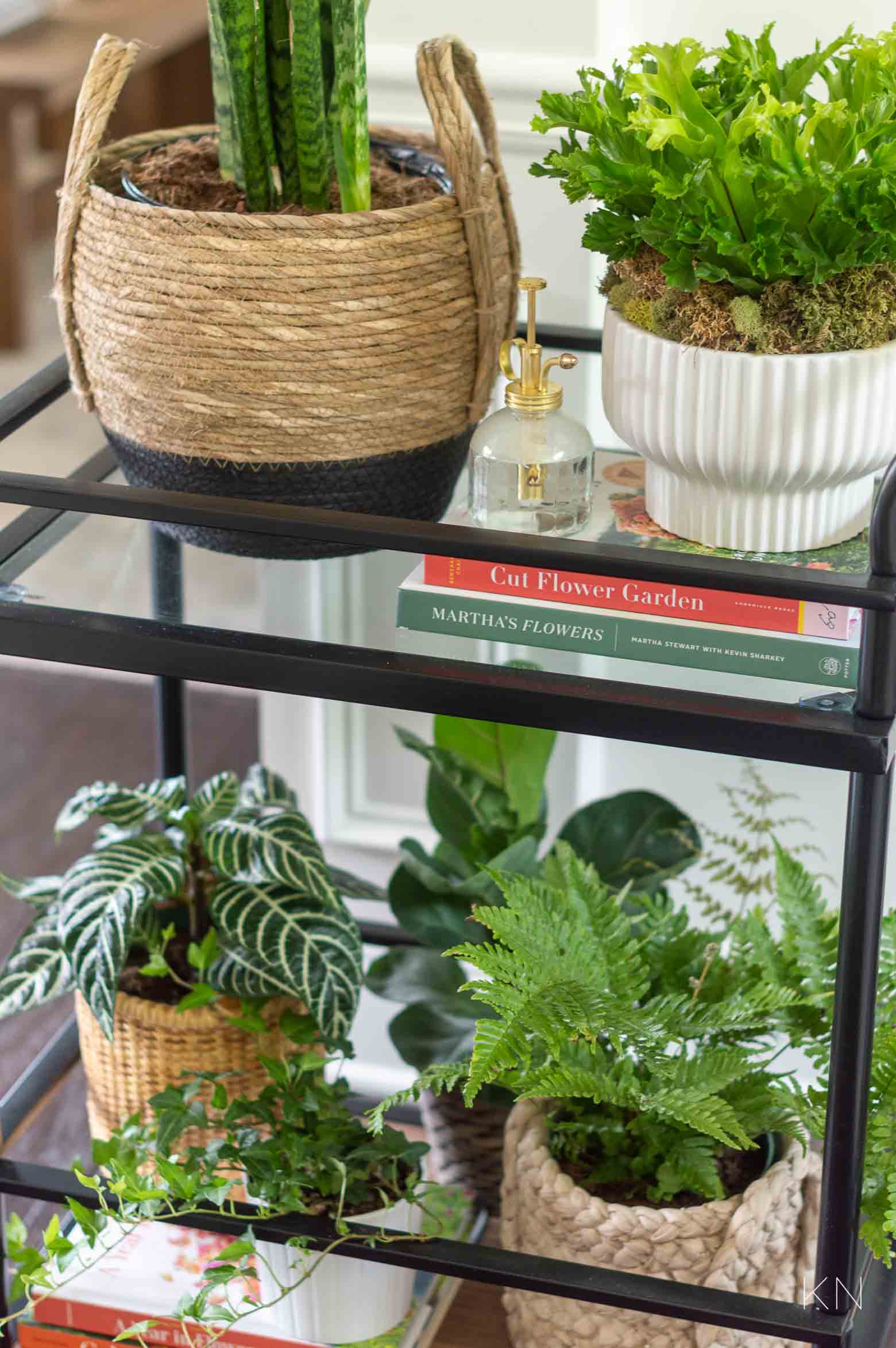 Using a Bar Cart as a Plant Shelf (Plus Tons of Other Bar Cart Ideas Around the House!)