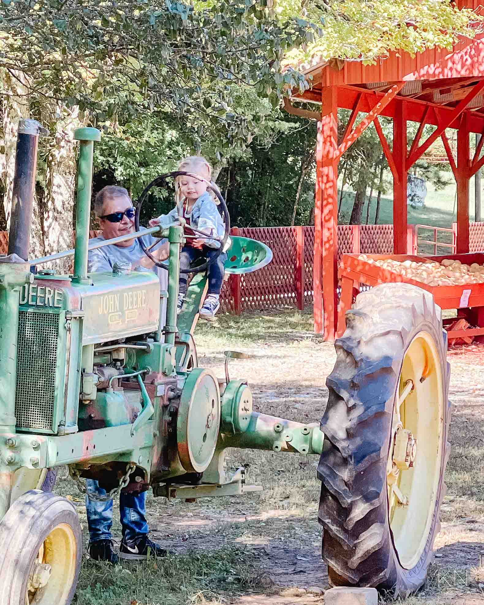 Day at Burt's Pumpkin Farm -- A Pumpkin Patch in North Georgia Mountains