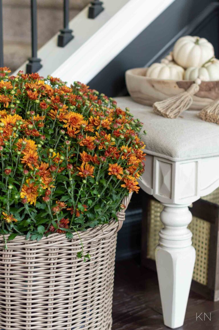 Affordable Fall Entry Decor & a Fall Styled Bench - Kelley Nan