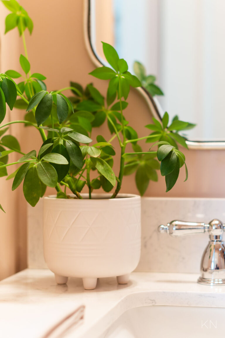 Small Pink Bathroom Remodel & Makeover Reveal - Kelley Nan