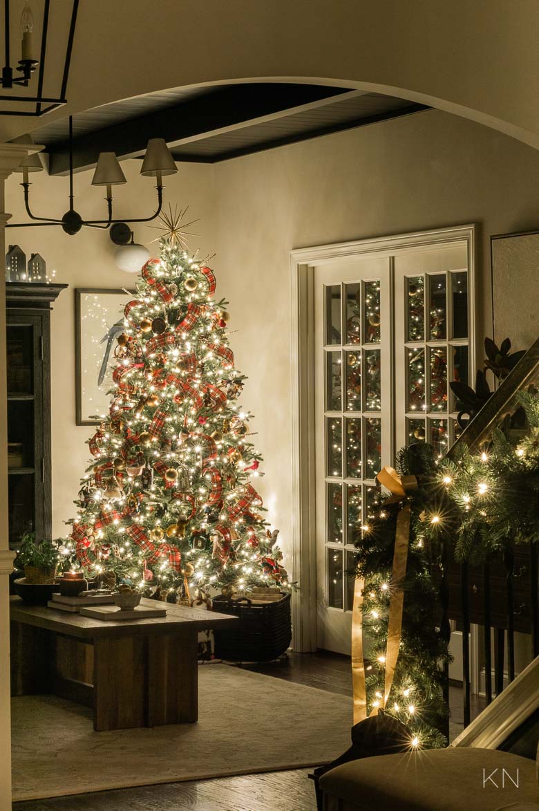 Special Family Christmas Tree with Decorating Tips