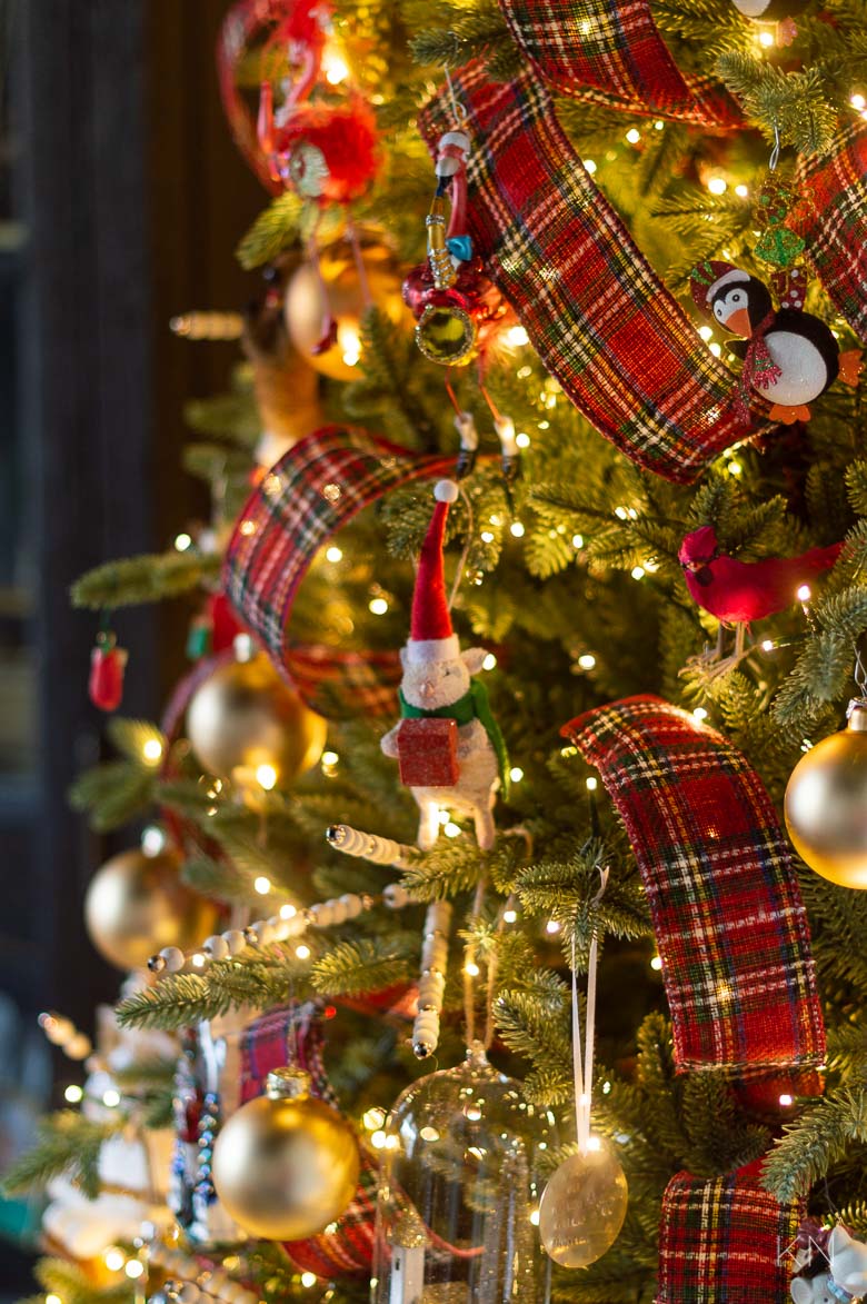 Family Ornament Christmas Tree Tips