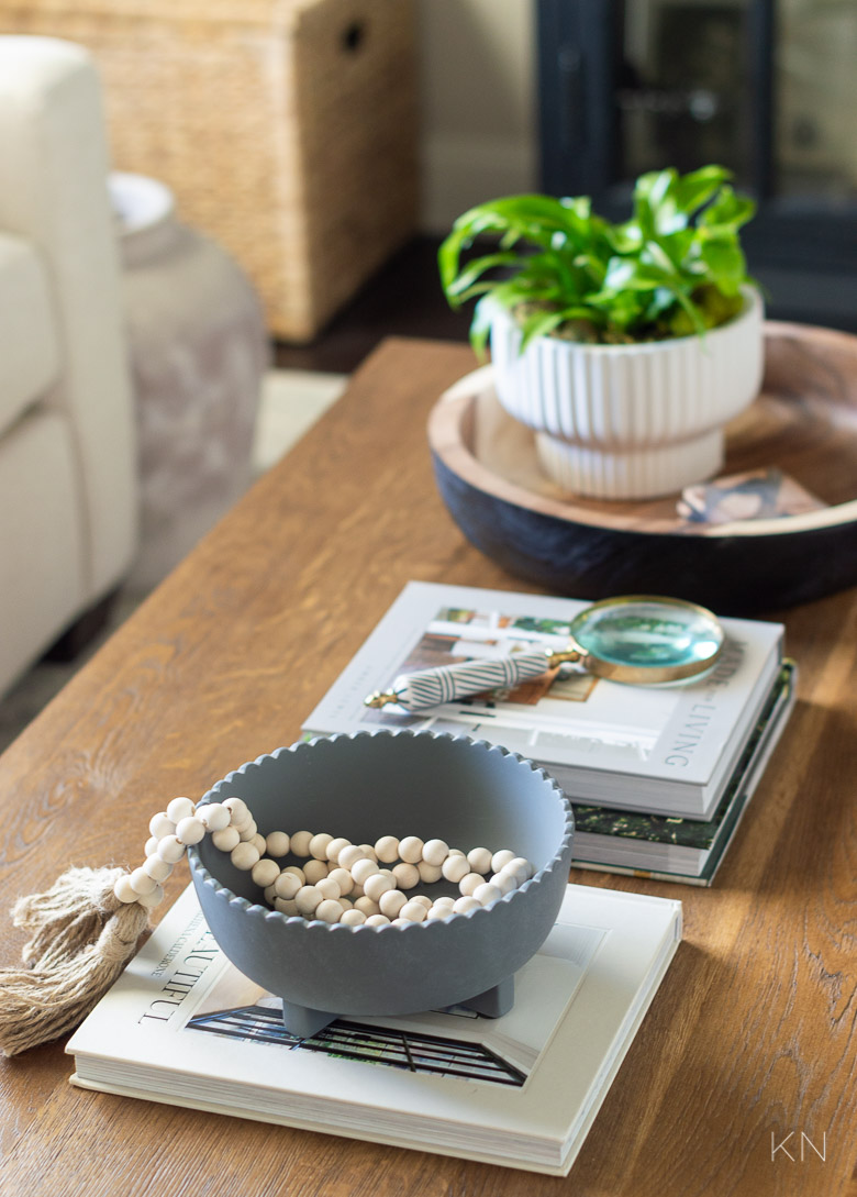 Indoor Planters as Coffee Table Decor