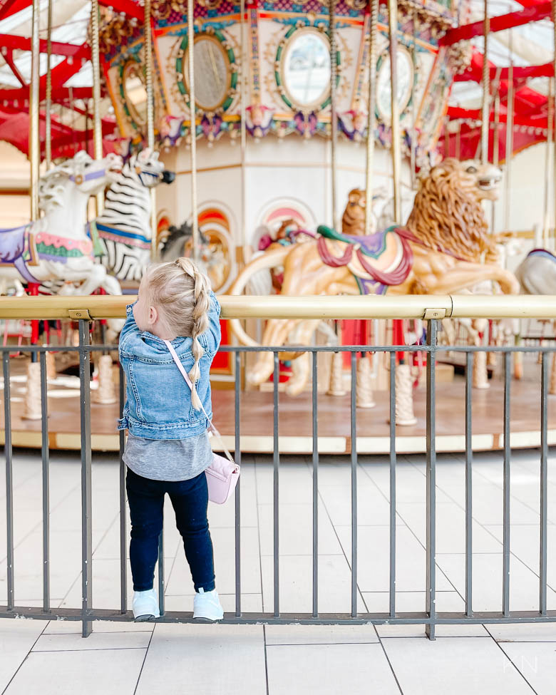 North Point Mall Carousel