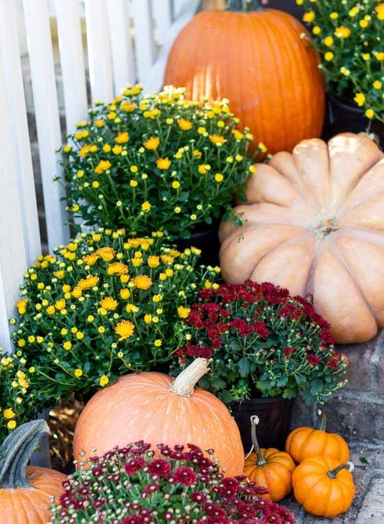 Fall Front Porch Steps Decorated with Pumpkins and Mums