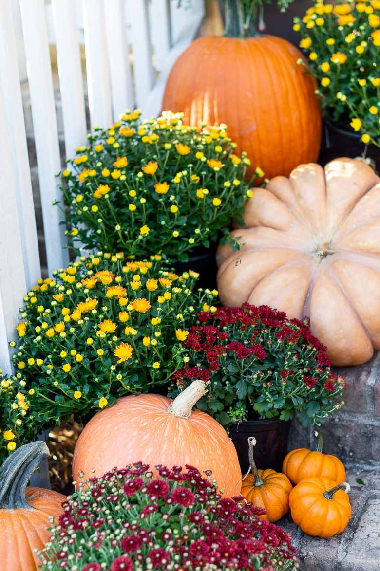 Fall Front Porch Steps Decorated with Pumpkins and Mums