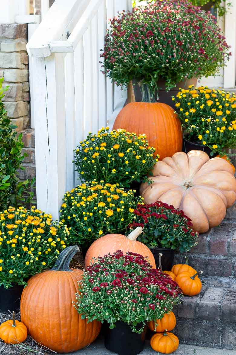 Orange and Red Pumpkins and Mums -- Fall Front Porch Decor