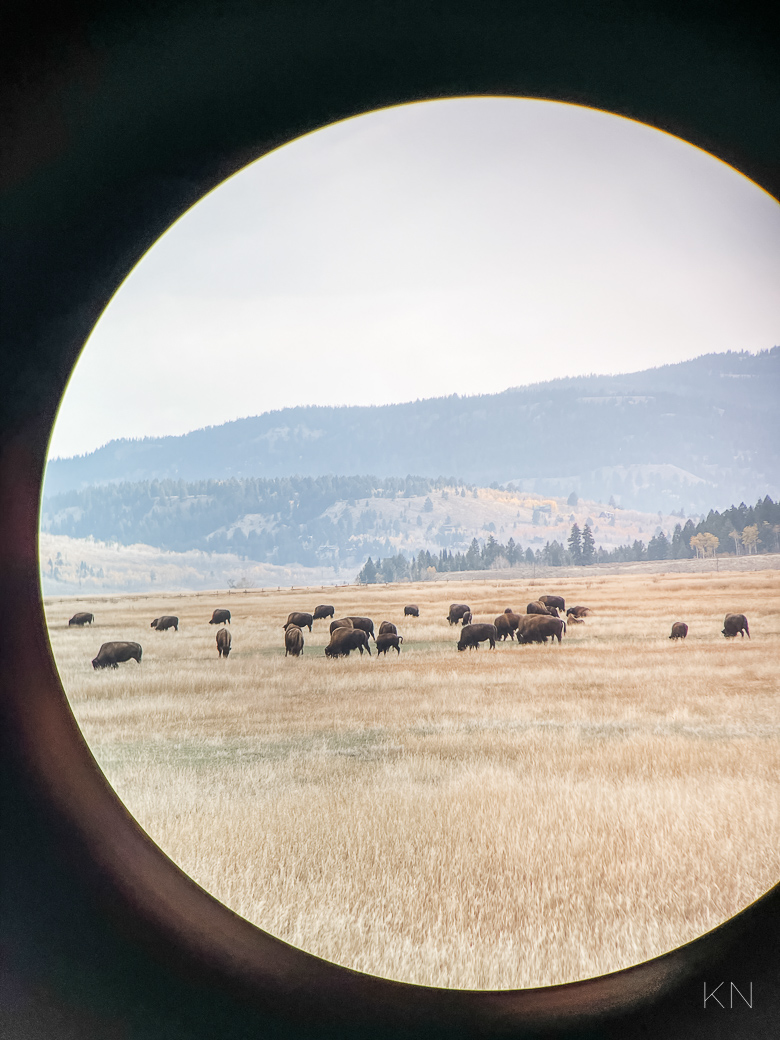 Jackson Hole Trip Itinerary, Yellowstone & Grand Teton National Park