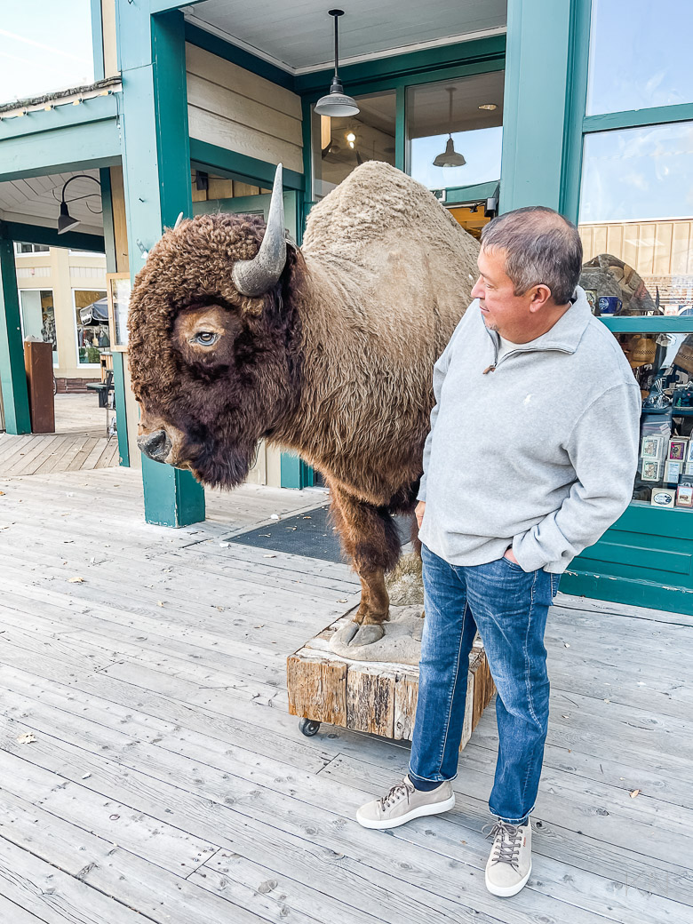 Jackson Hole Trip Itinerary, Yellowstone & Grand Teton National Park