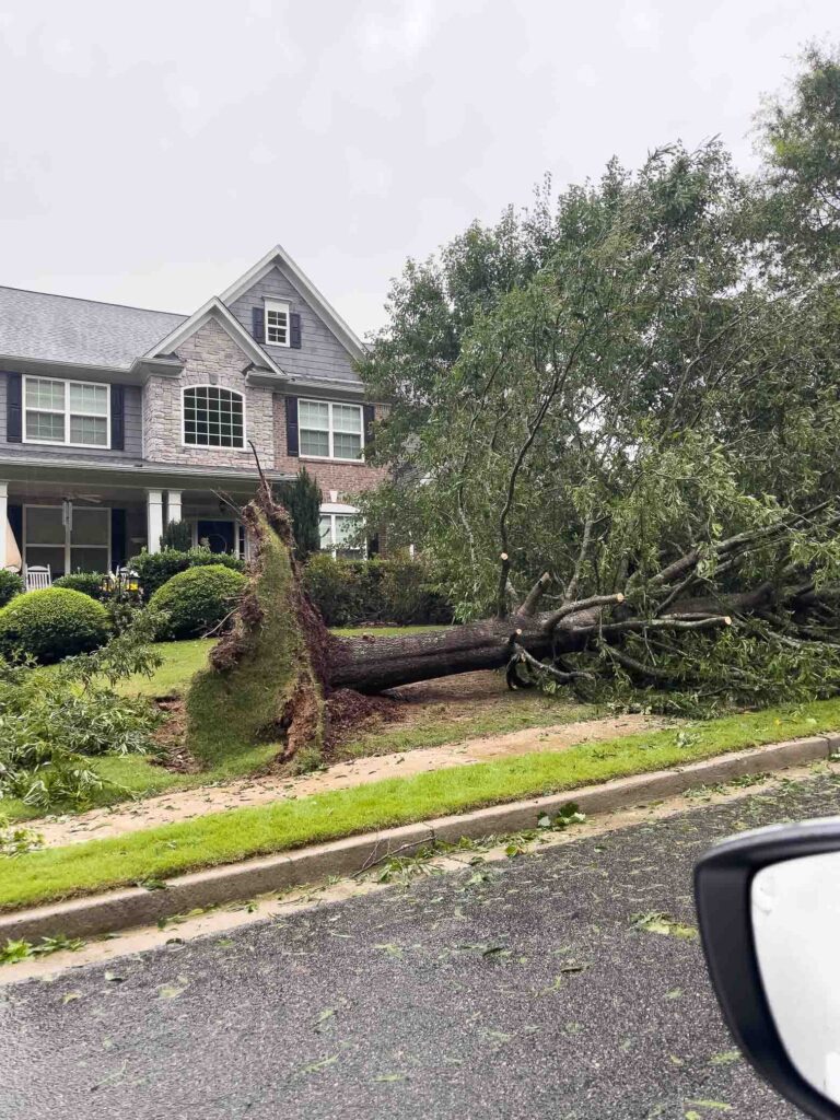 North Georgia Storm Damage 2023