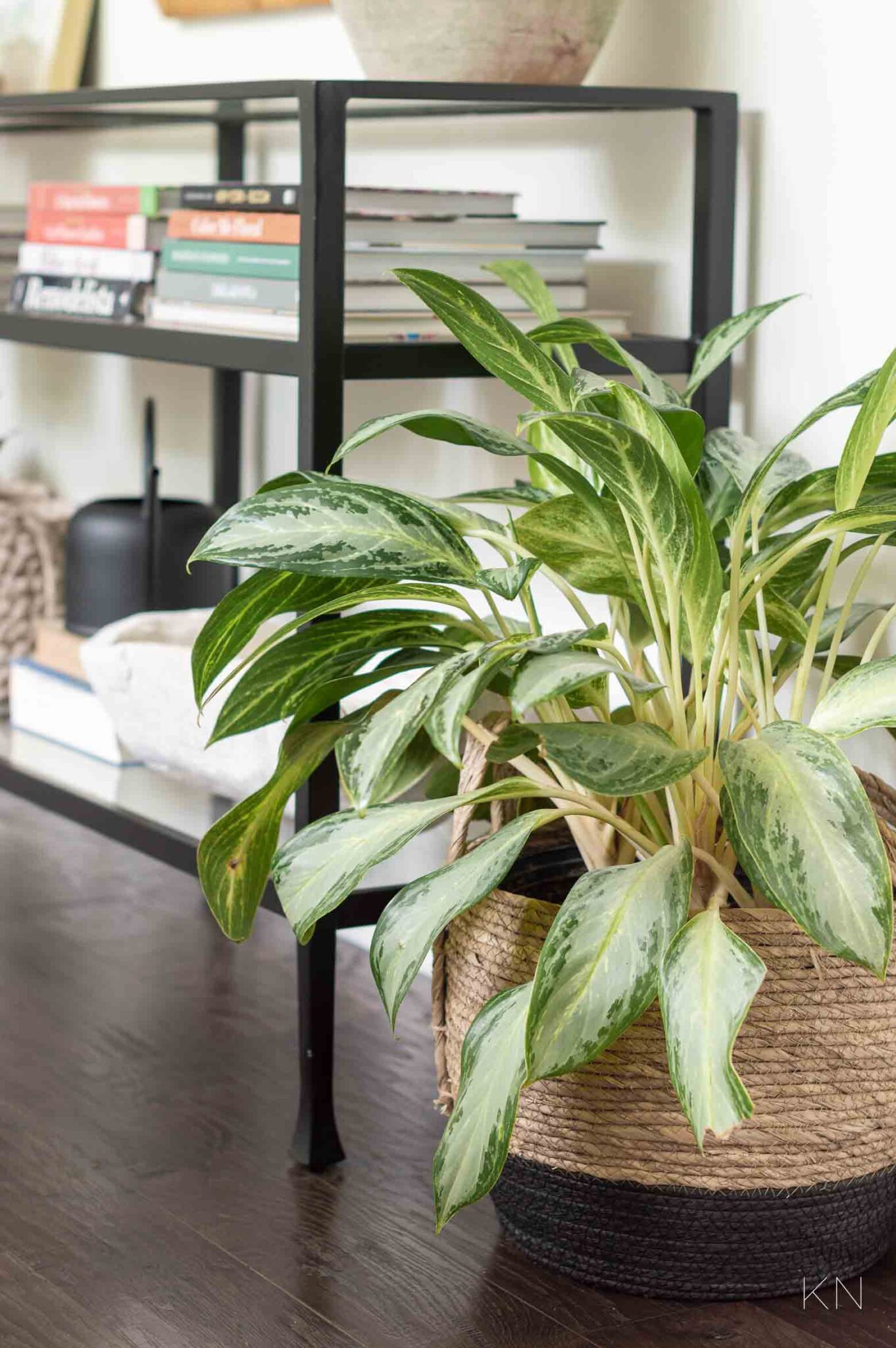 Picture of 13 Ways to Achieve a More Minimalistic Living Room - Kelley Nan