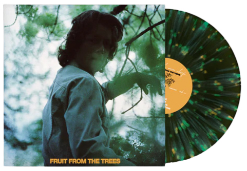 Top 10 Indie Pop Vinyl Records