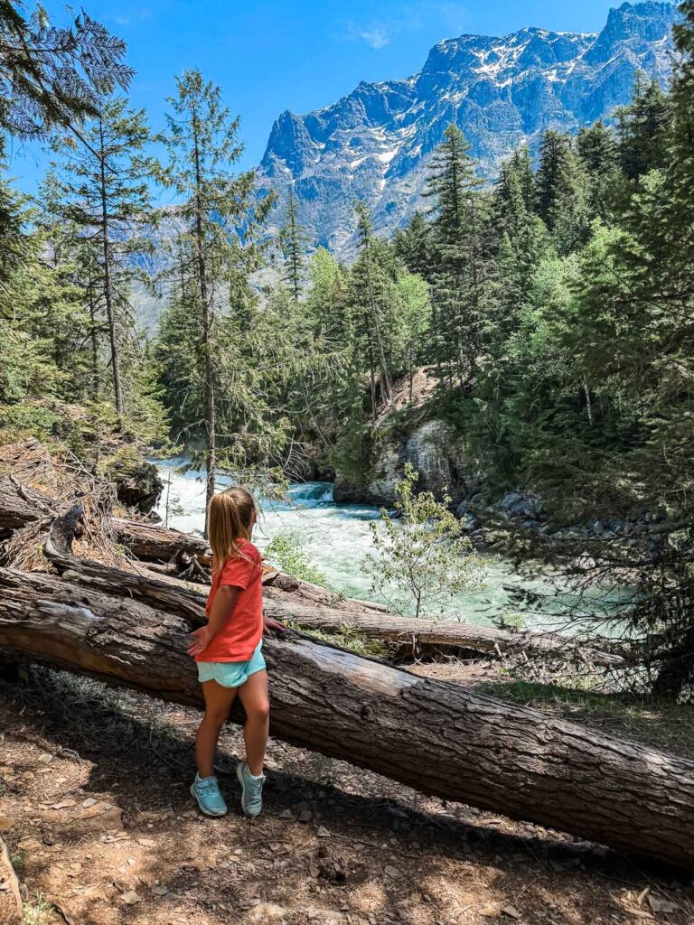 Whitefish and Glacier National Park Family Travel and Hike Ideas