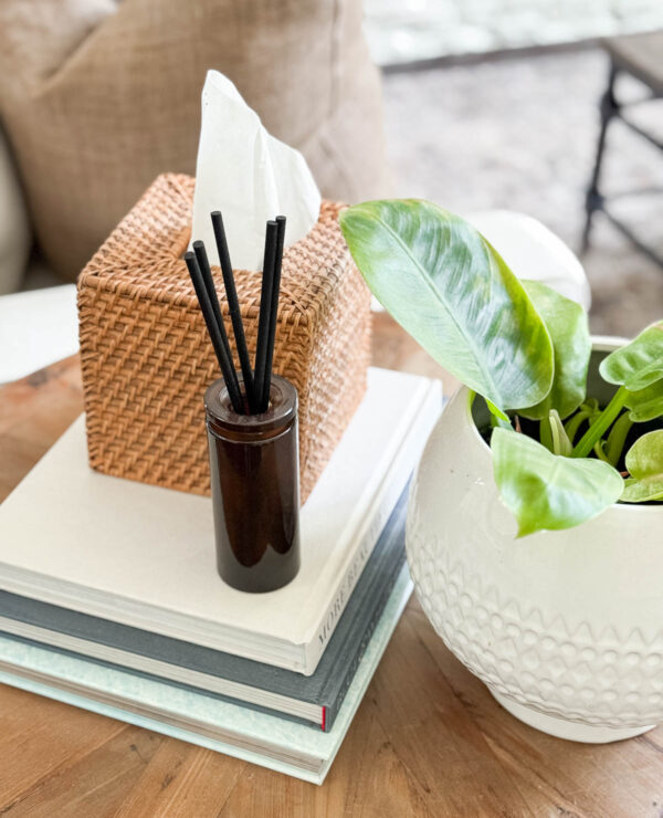 SUMMER LIFESTYLE FAVES