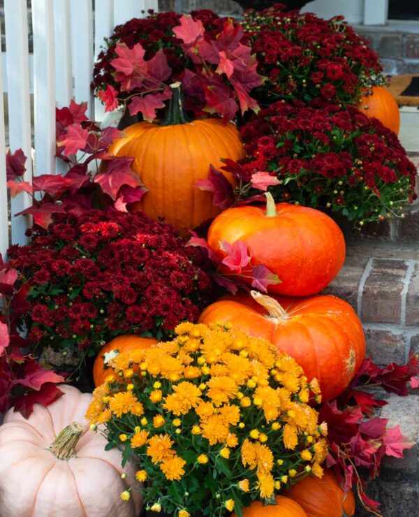 Red and Orange Fall Front Porch Color Scheme