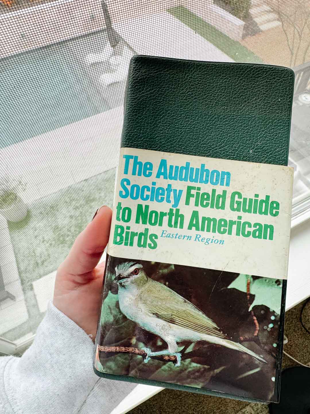 Granny Hobbies for Millennials