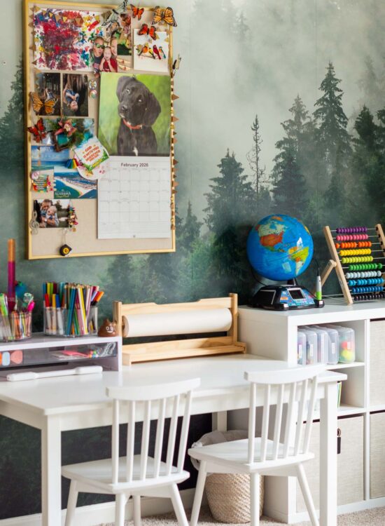 Elementary Kids Playroom Design & Decor