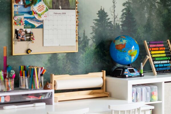 Elementary Kids Playroom Design & Decor