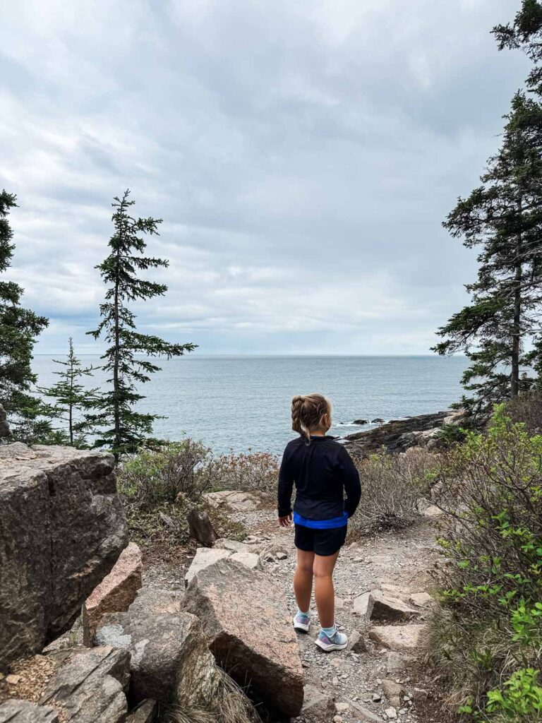 Ocean Path Otter Cliff Acadia National Park
