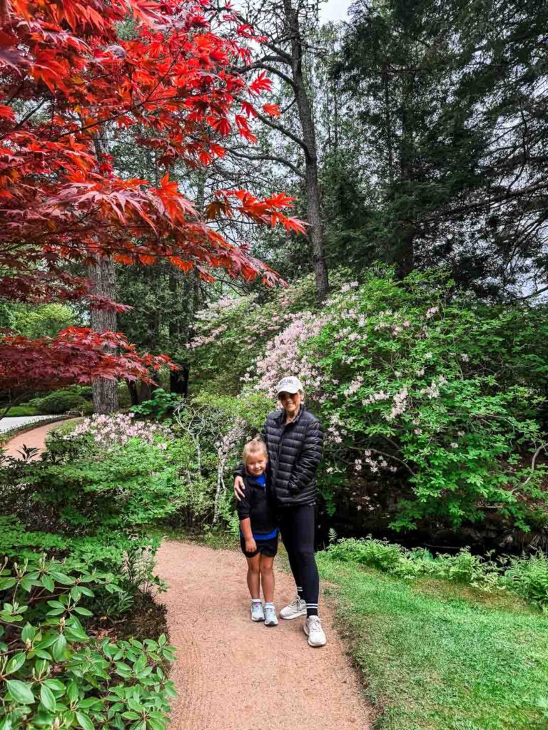 Asticou Azalea Garden Mount Desert Maine
