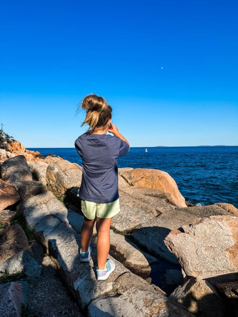 Bass Harbor Head Light Cliffs