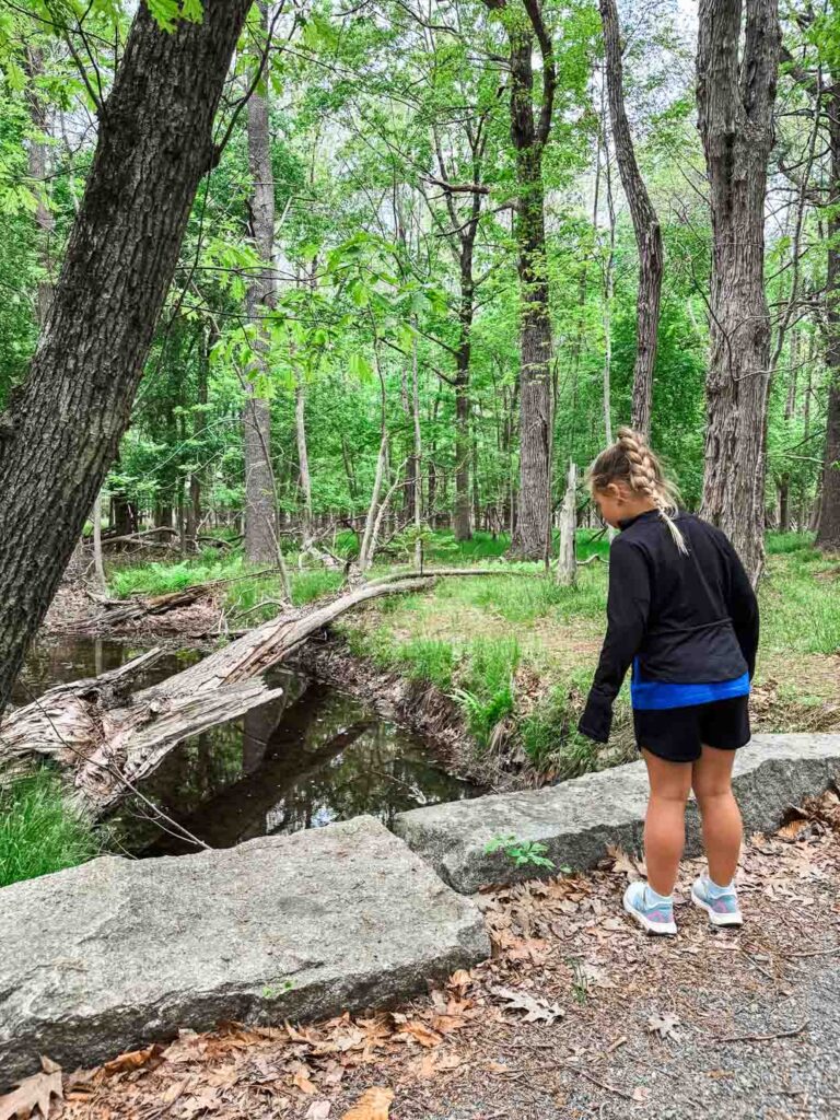 Compass Harbor Trail, Acadia National Park