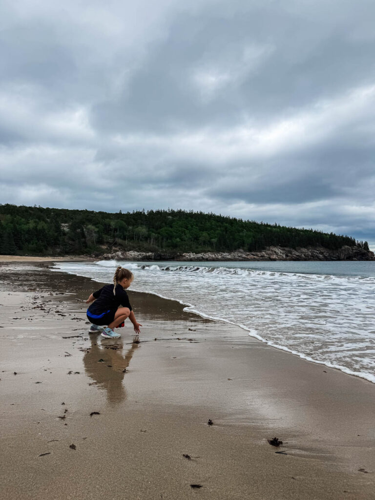 Sand Beach Acadia National Park