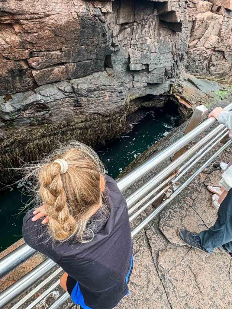 Thunder Hole Acadia National Park