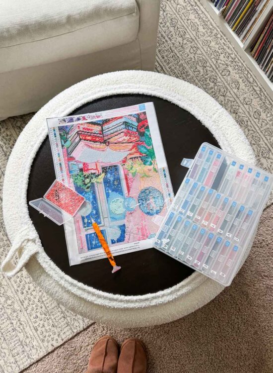 Storage Ottoman for Hobby Storage